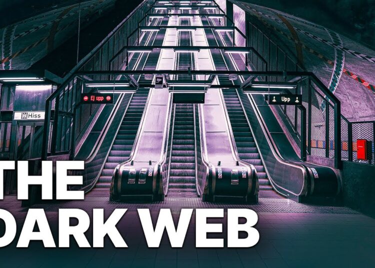 The Dark Web | Black Market Trade | Cyber Crime | Crime | Alpha Bay