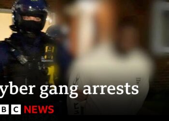 Police bust cyber gang accused of fraud worldwide | BBC News
