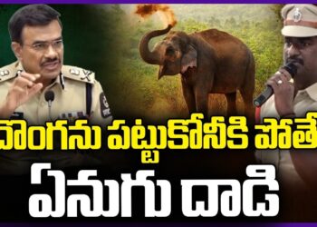 Elephant Attacks while trying to catch thief : Cyber Crime Police | V6 News