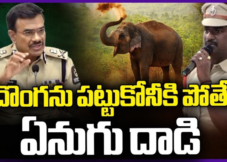 Elephant Attacks while trying to catch thief : Cyber Crime Police | V6 News