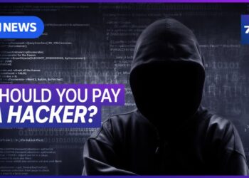 The risks of paying a ransom to cyber criminals | 7.30