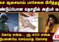 சென்னையில் பிரபல தொழில் அதிபர் மகளை அலறவிட்ட மோசடி cyber crime | chennai watch scam | fraud alert