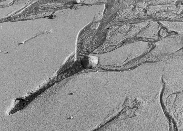 Identifying Companies Affected by the Shai-Hulud NPM Supply Chain Attack