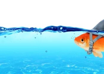 Phundamental or pholly? – Sophos News