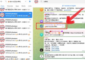 Chinese Guarantee Syndicates and the Fruit Machine