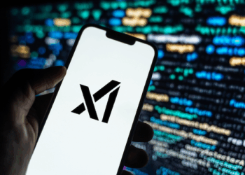 DOGE Denizen Marko Elez Leaked API Key for xAI – Krebs on Security