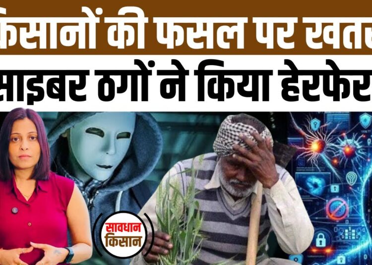 Meri Fasal Mera Byora Portal पर Cyber ठगों ने किसानों के लूट लिए लाखों रुपये। Cyber Fraud। Haryana