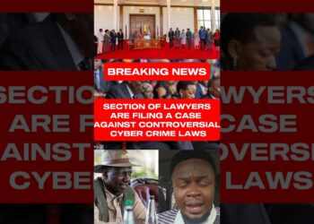 SECTION OF LAWYERSARE FILING A CASE AGAINST CONTROVERSIAL CYBER CRIME LAWS #cybercrime