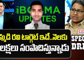 ఇమ్మడి రవి టార్గెట్ ఇదే.. నెలకు 13 లక్షలు సంపాదిస్తున్నాడు | Cyber Crime DCP Kavitha About IBomma