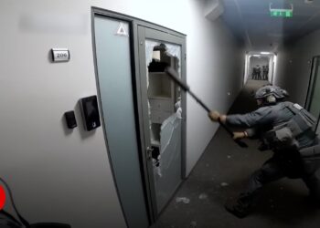 Police storm cyber fraud farm and uncover 40,000 SIM cards