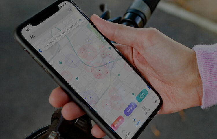 When a Simple Fitness App Becomes a National Security Threat