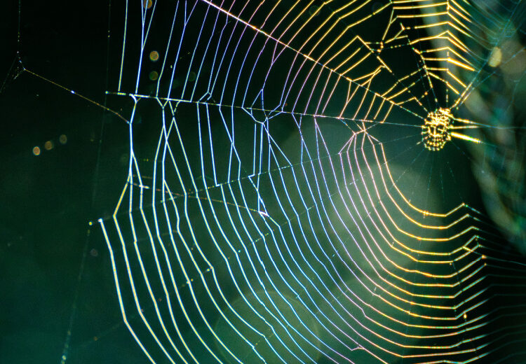 Scattered Lapsus$ Hunters Tied to Targeting of Zendesk Users