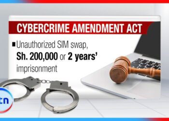 High Court suspends key sections of Cybercrimes Amendment Act