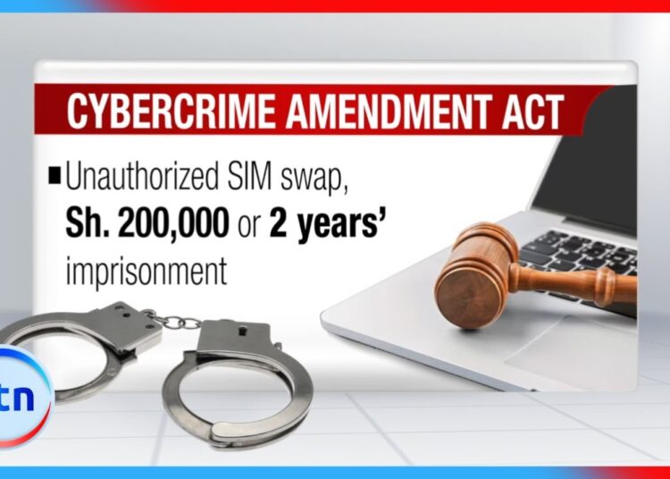 High Court suspends key sections of Cybercrimes Amendment Act