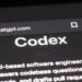 Codex Bug Let Repo Files Execute Hidden Commands